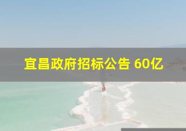 宜昌政府招标公告 60亿